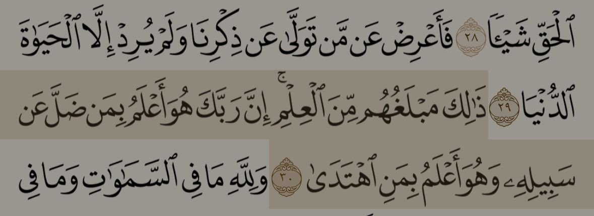 شهد أحمد tweet media