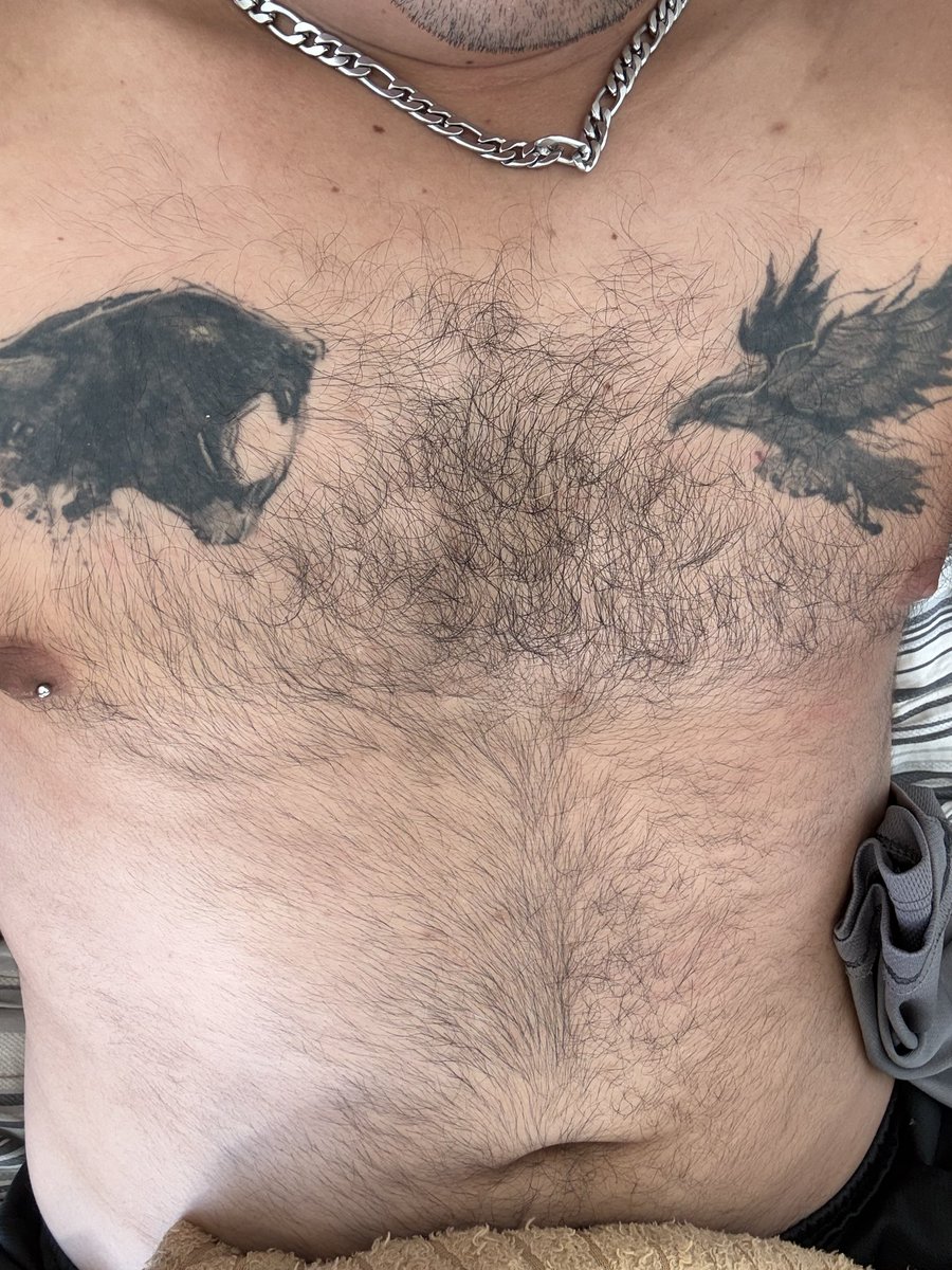 Dan Cast tweet media