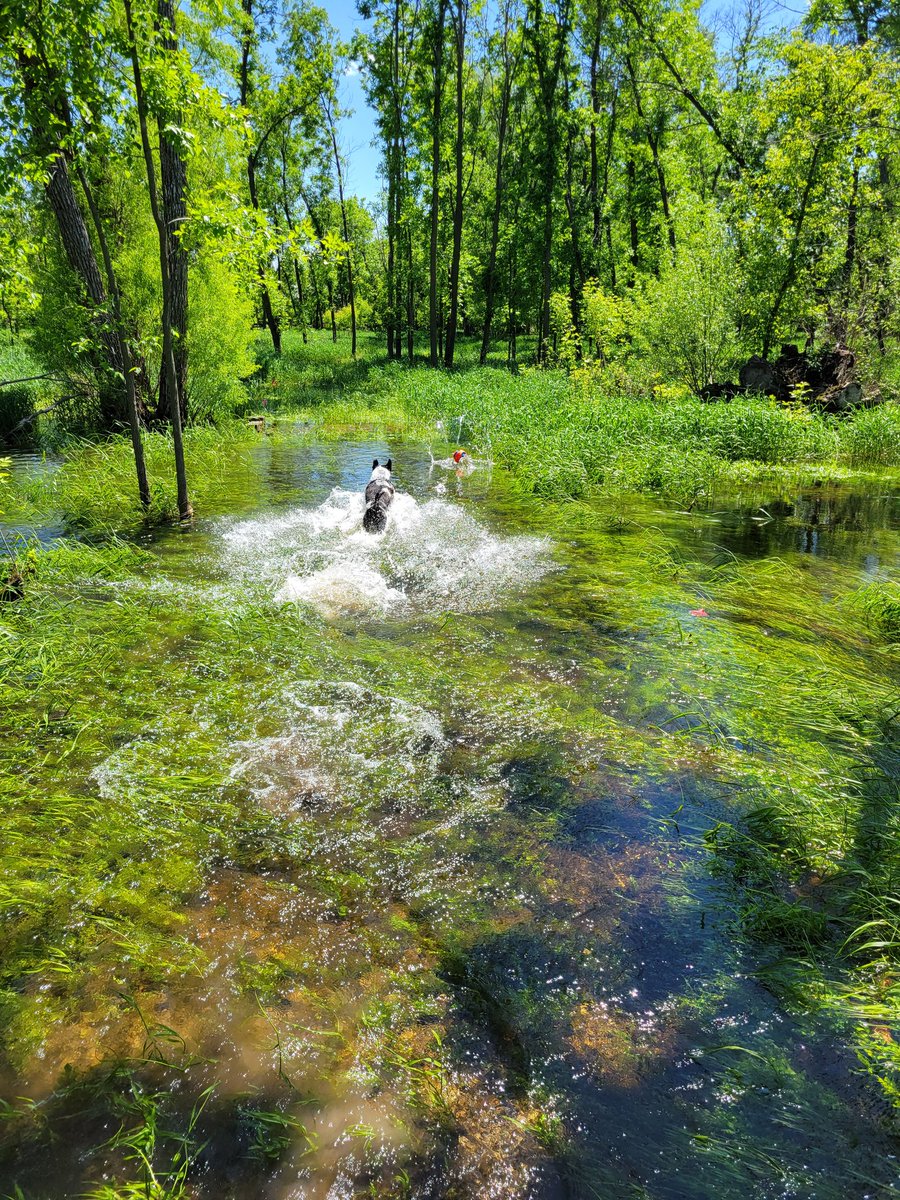 flavortown tweet media