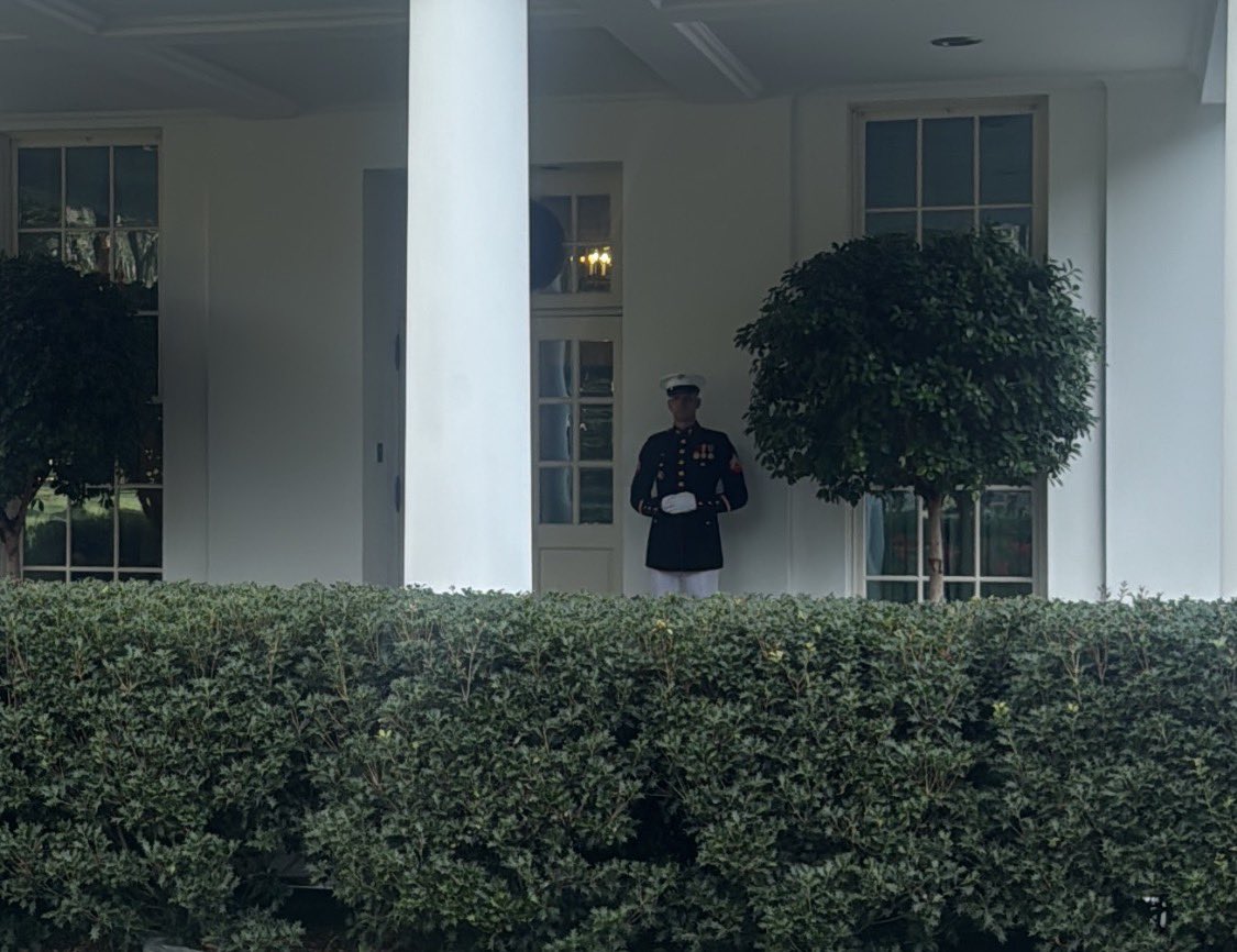 David Alandete tweet media