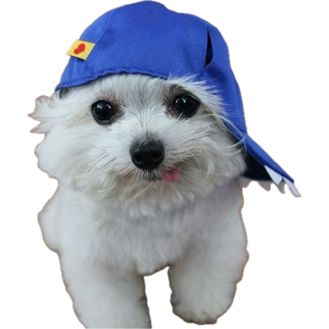 em ☁️ tweet media