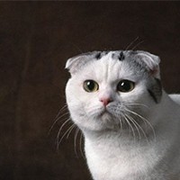 Serkan YARAR tweet media