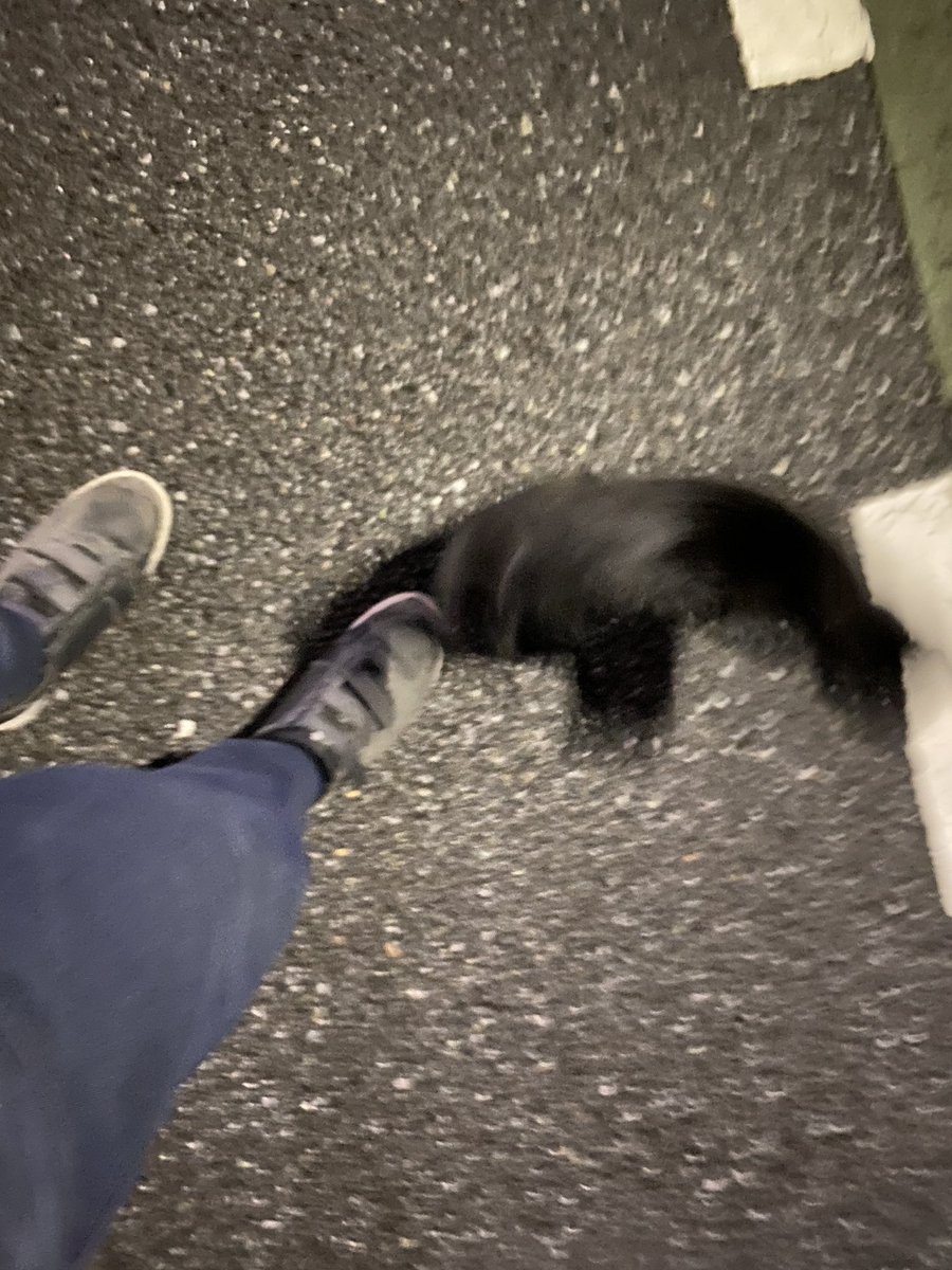 カミヤマΔ tweet media