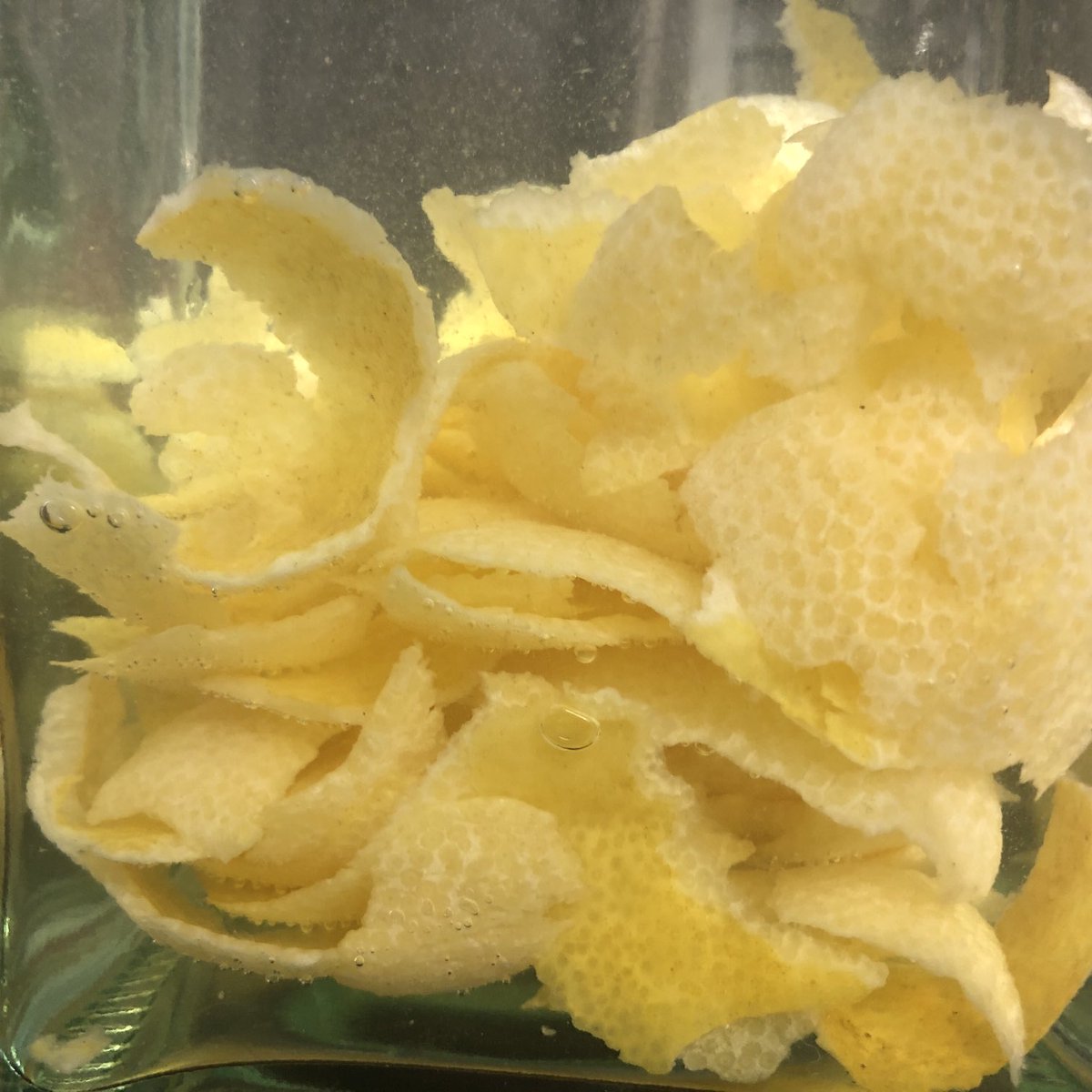 Pilu Lleida tweet media