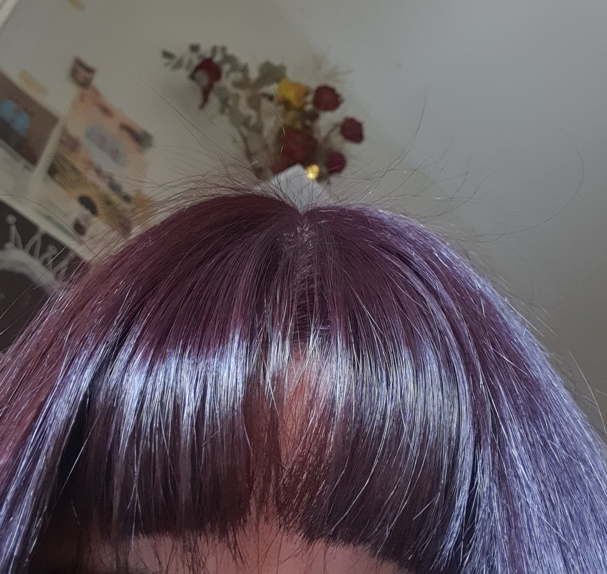 ₊‧.°.⋆Hagov Ethereal Decay⋆.°.‧₊ tweet media