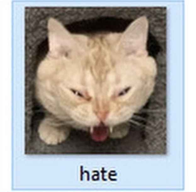 🇻🇦Yapman ⚜️🌷 tweet media