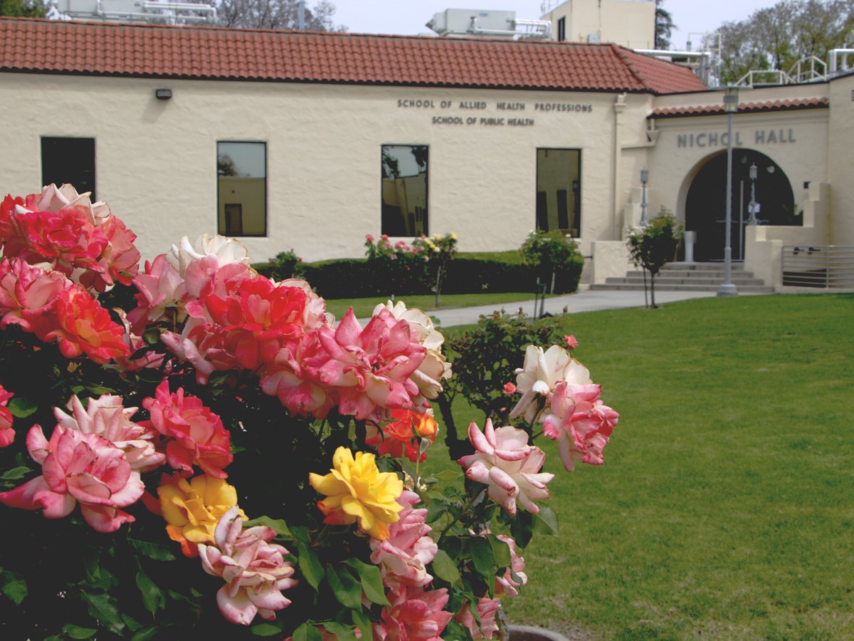 LLU Public Health tweet media