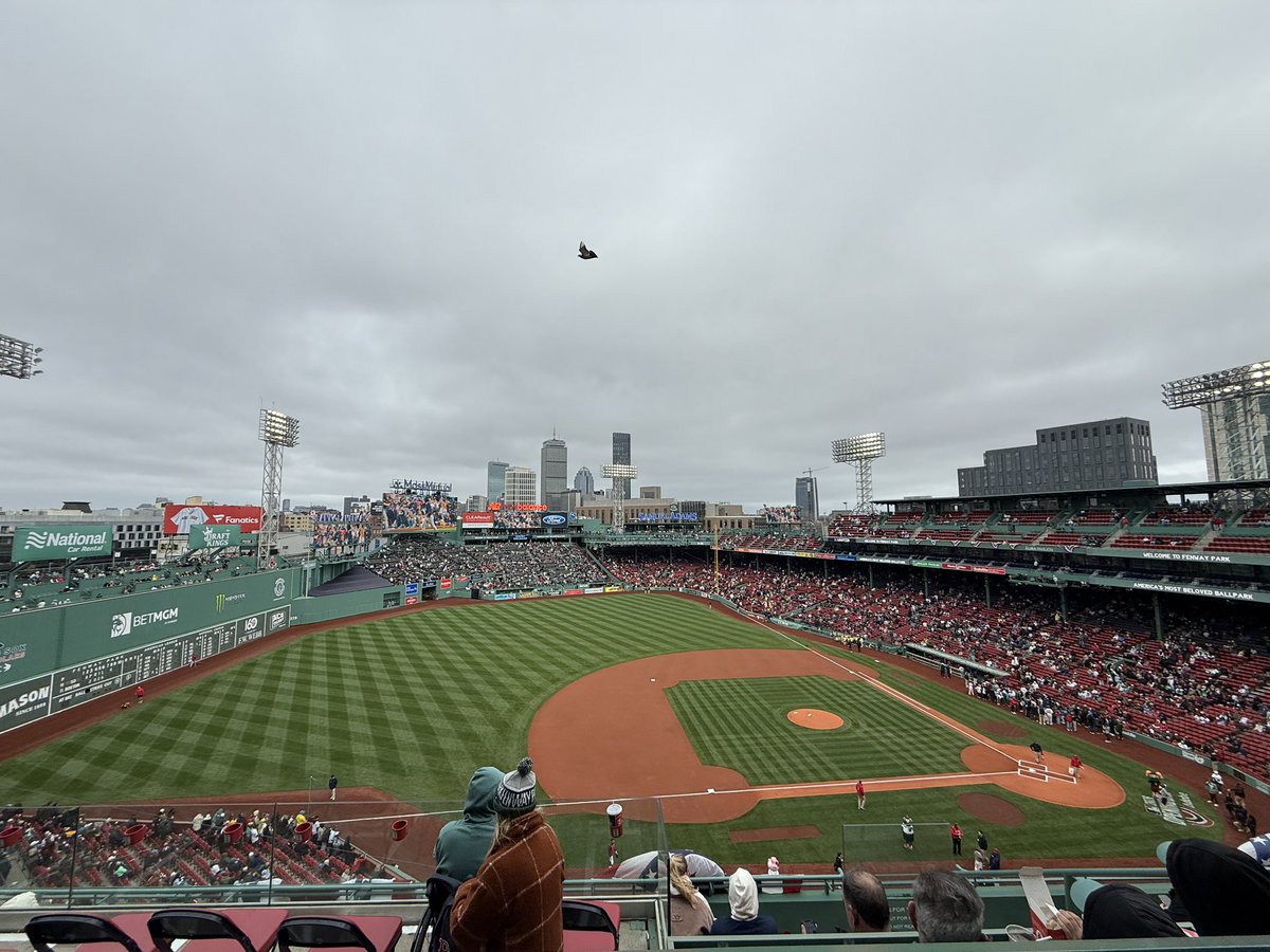 anna (In Play, Run(s)) tweet media