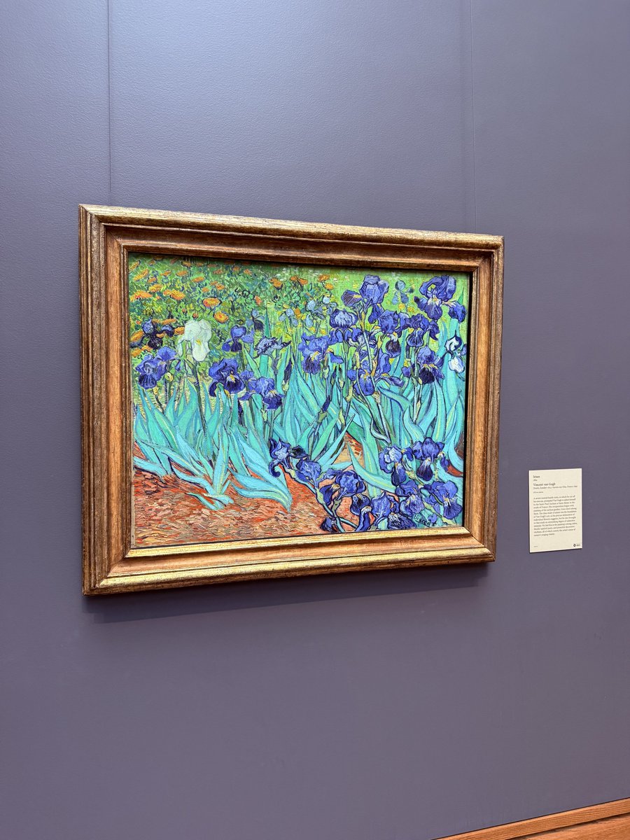 核桃叔叔 tweet media