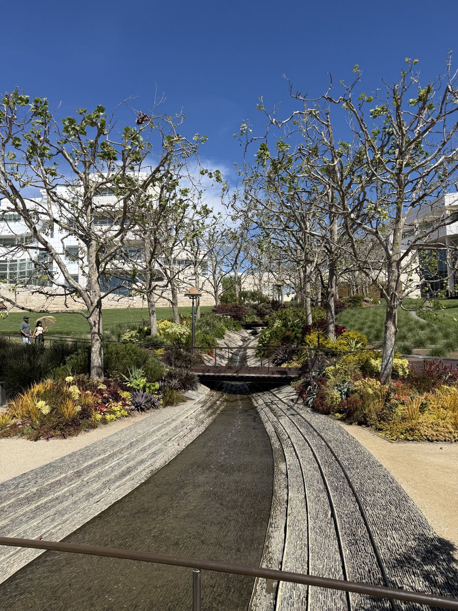 核桃叔叔 tweet media