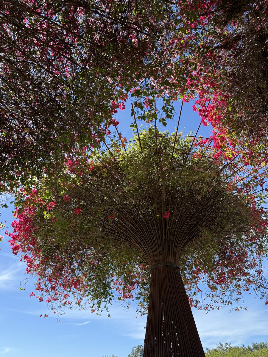 核桃叔叔 tweet media