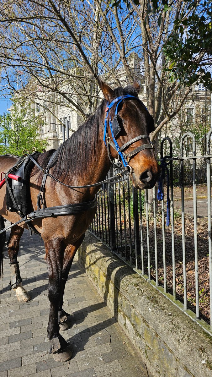 catniss | ♡ ✧･ﾟ💘 (also on 🦋) tweet media