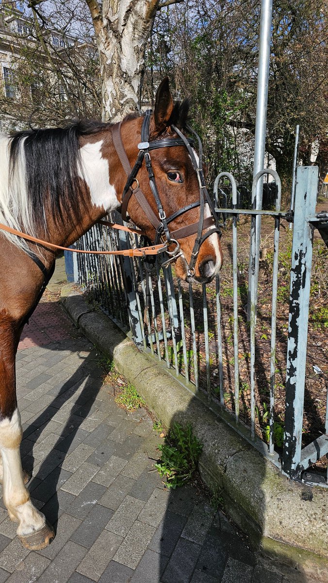 catniss | ♡ ✧･ﾟ💘 (also on 🦋) tweet media