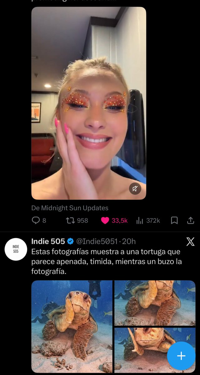 VettelSunshine_'s tweet photo. The perfect timing in my tl with Zara and the cute turtle lmao 😭 they’re the same 😭 https://t.co/2fjQMjVXLv