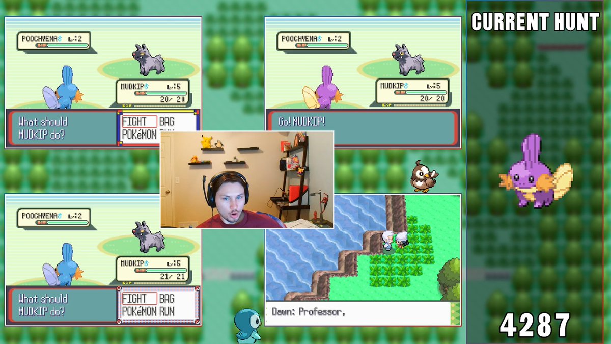 CPWarriorX's tweet photo. Shiny Mudkip in Sapphire after only 4,287 soft resets! https://t.co/3D1dxCAhq0