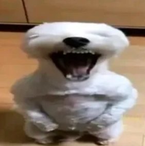 ItzCarlos tweet media