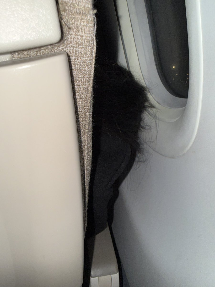 British Miss tweet media