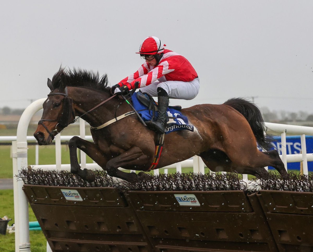 Willie Mullins tweet media