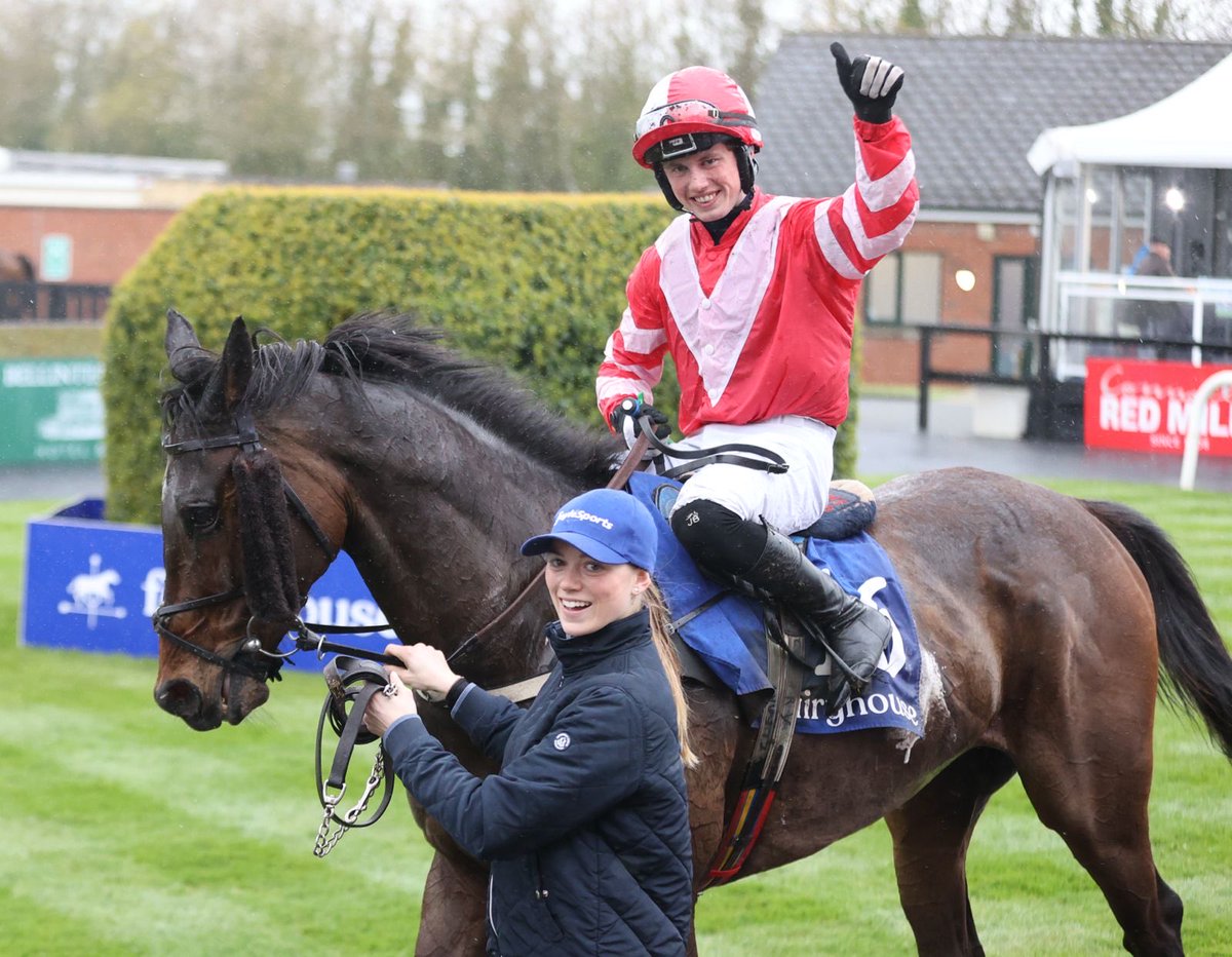 Willie Mullins tweet media