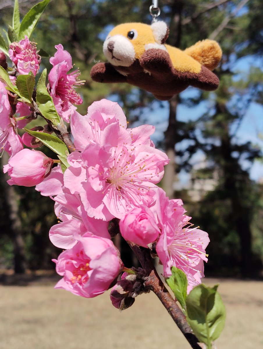 Kizuどん ㏍ tweet media