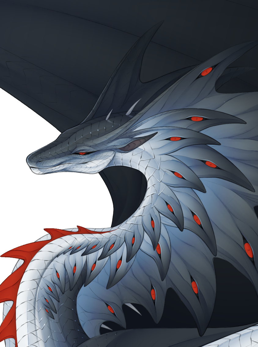 DittoMay🕊 tweet media