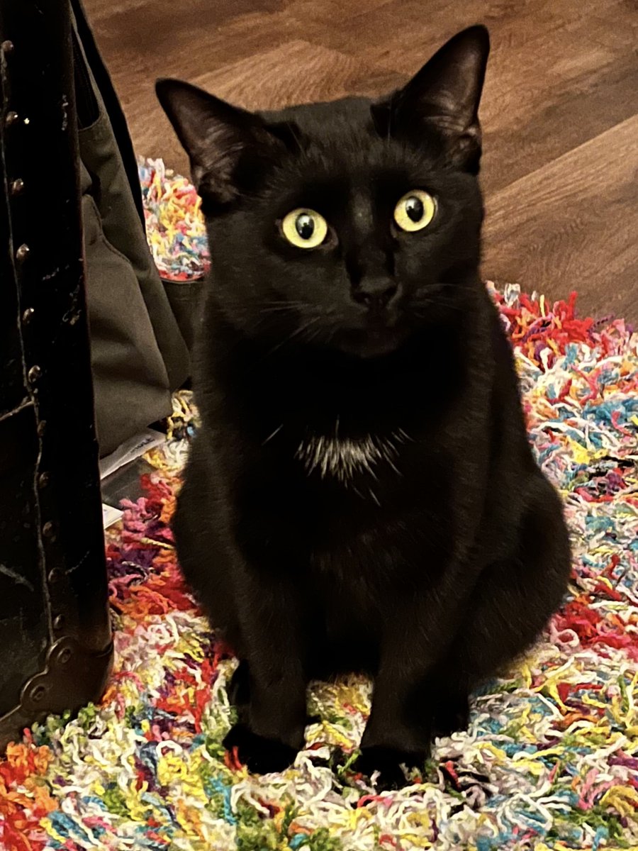 ★Ziggy★ tweet media