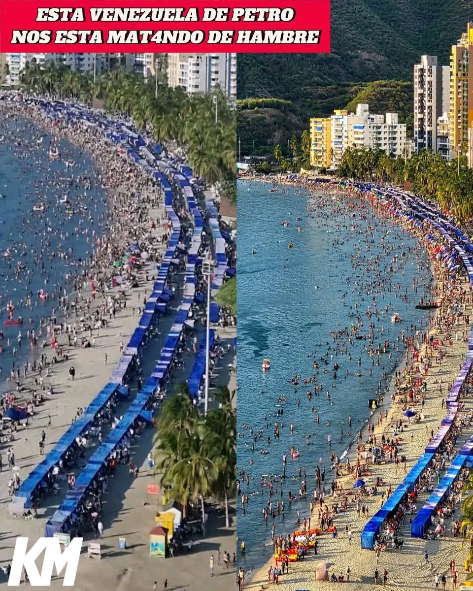 Ave Fénix tweet media