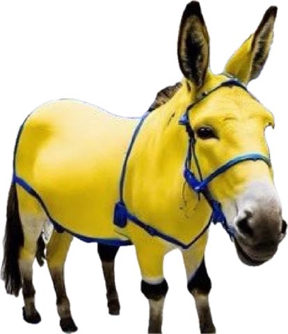 𝑴𝑺𝑯𝑨𝑹𝑰 tweet media