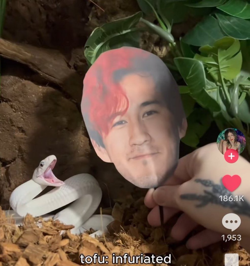 Emmitsu 🎸🍎 ((Commissions Closed)) tweet media