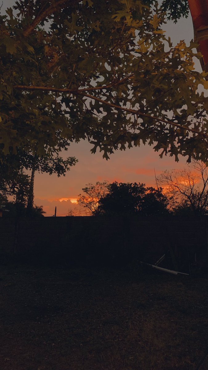 blessrdza's tweet photo. 🌞🌇 https://t.co/4bzD8FPeoX