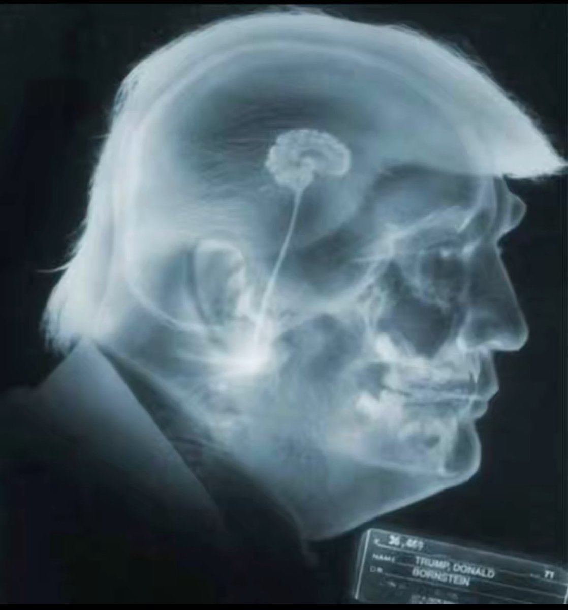 Christian Ventura tweet media