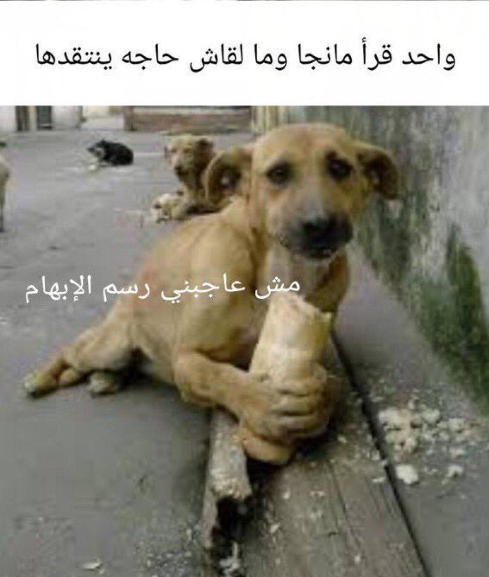 ููุชุง tweet media