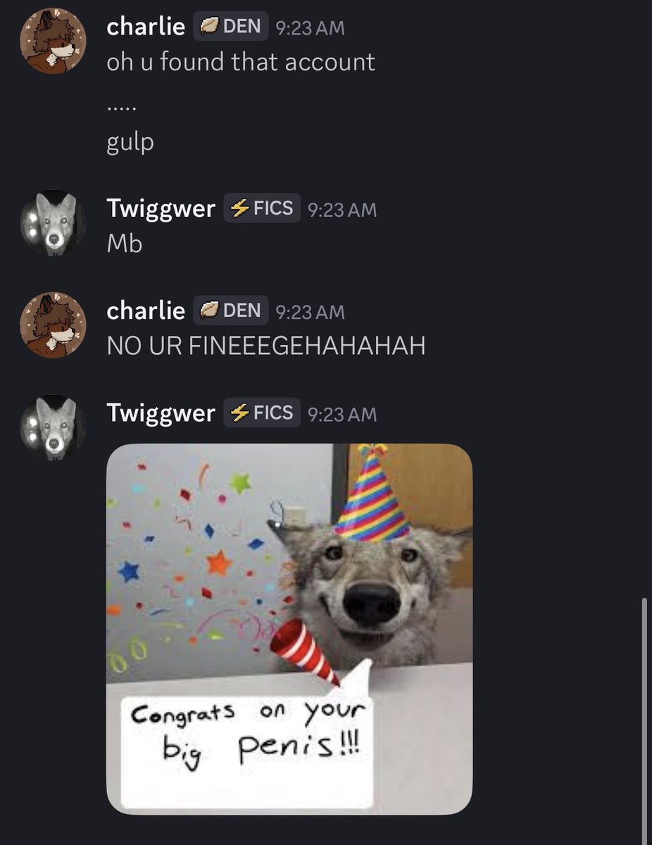 Birch🐾 tweet media