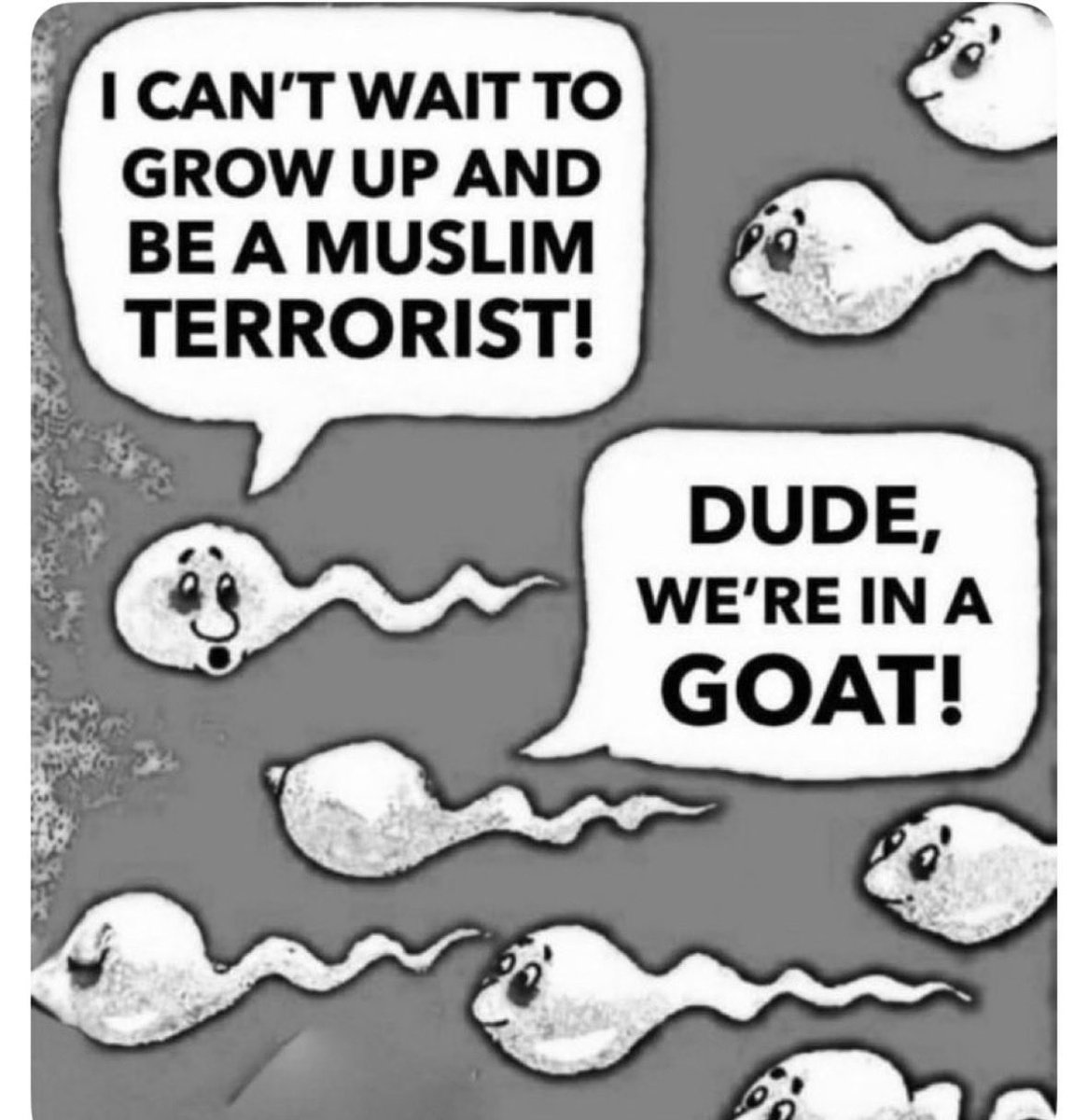 Mary 🟣⚪️🟡 tweet media