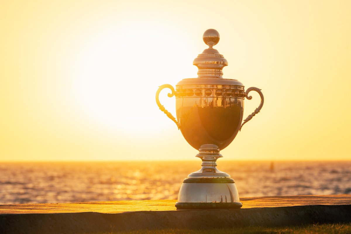 عمرو tweet media