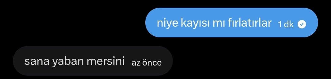 Eva 🪼 tweet media