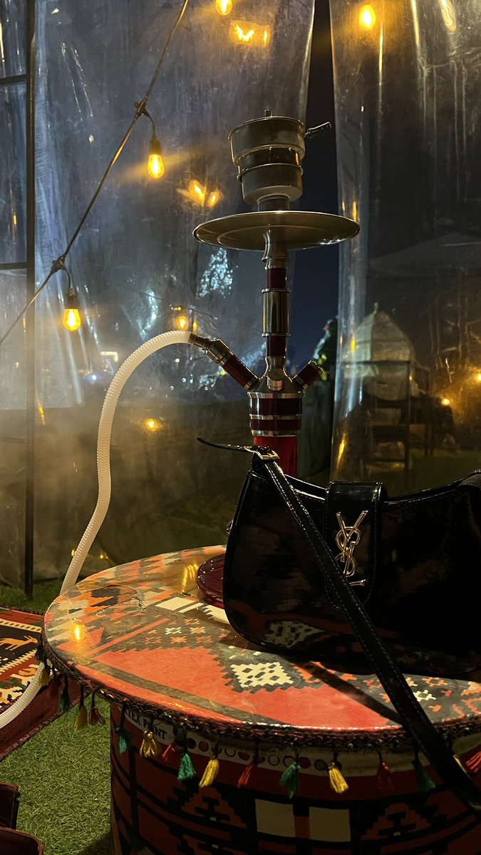 Manon ✶ tweet media