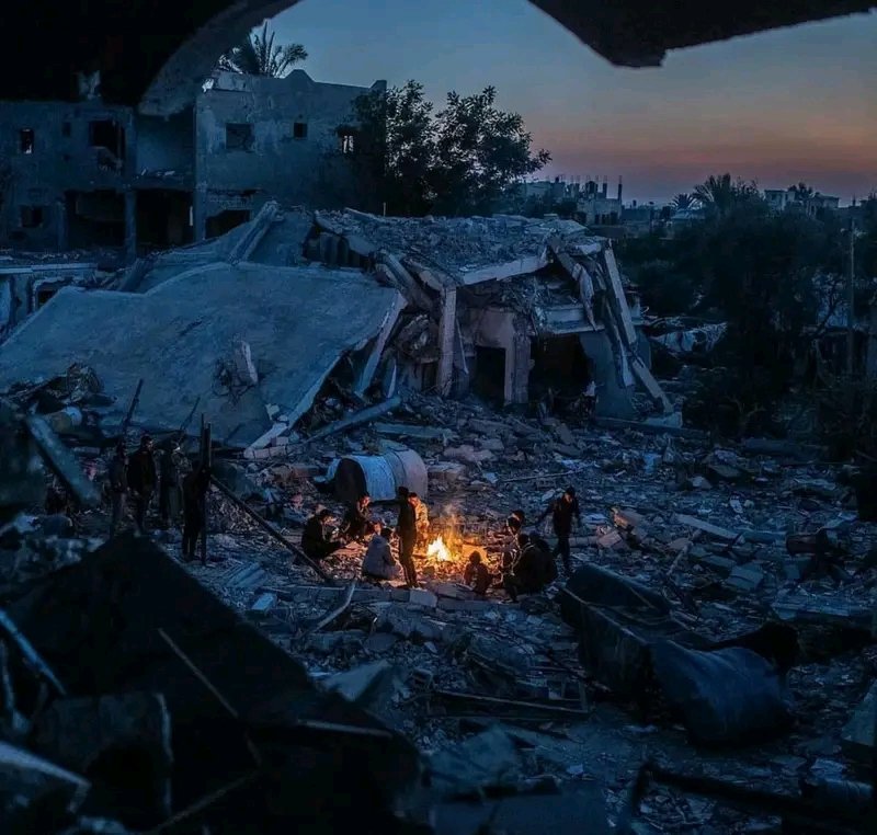 Braa 𓂆 Gaza🇵🇸 tweet media