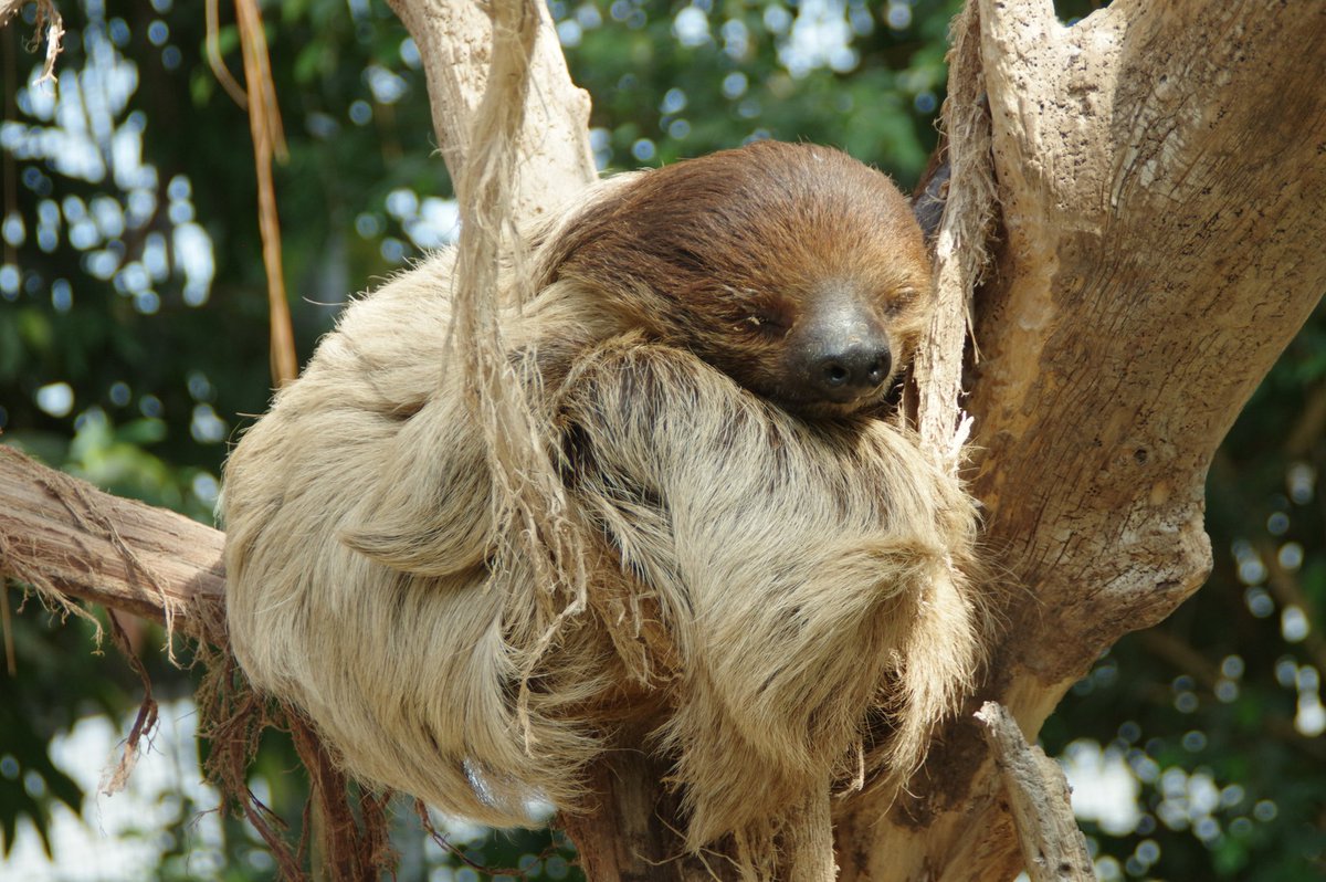 善右衛門 tweet media