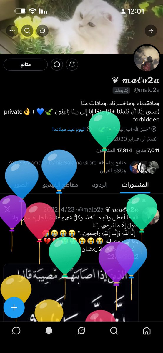 ضہہيہف آلَلَهہ آلَمہشہآكس🌻💛 tweet media