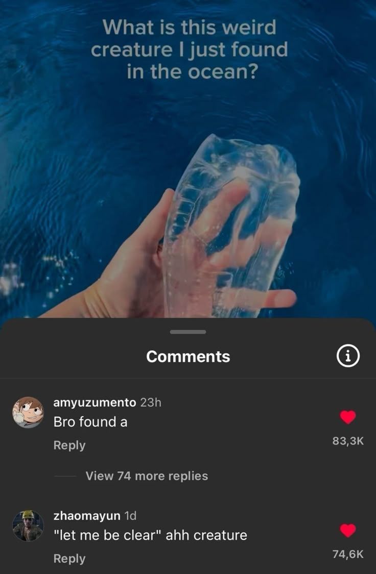 Internet Slop tweet media