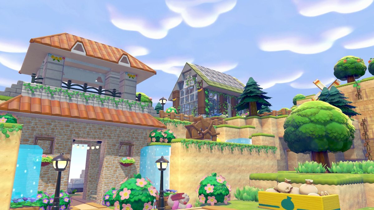 Islander Iris 🍊🧡 tweet media