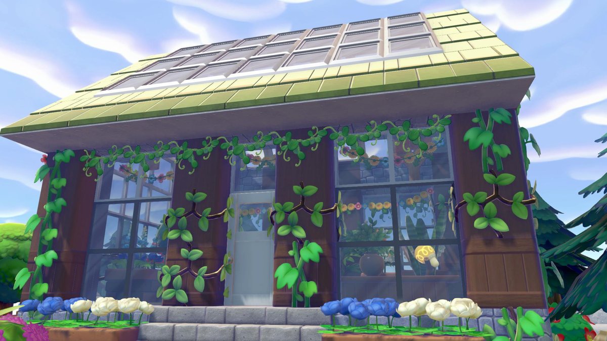 Islander Iris 🍊🧡 tweet media