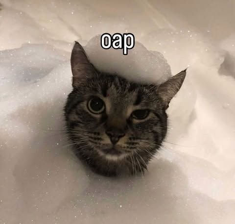 ►SANAKAN◄ tweet media