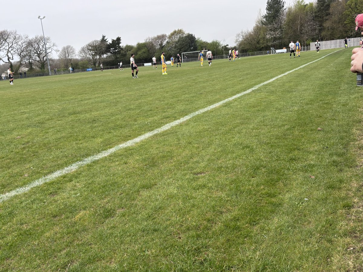 New Forest Groundhopper tweet media