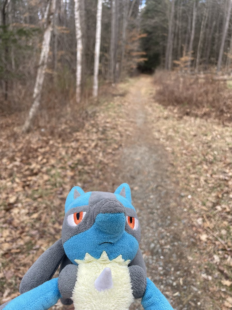 Deikaeus tweet media