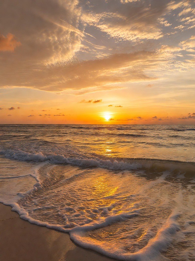 Lisa🌺 tweet media