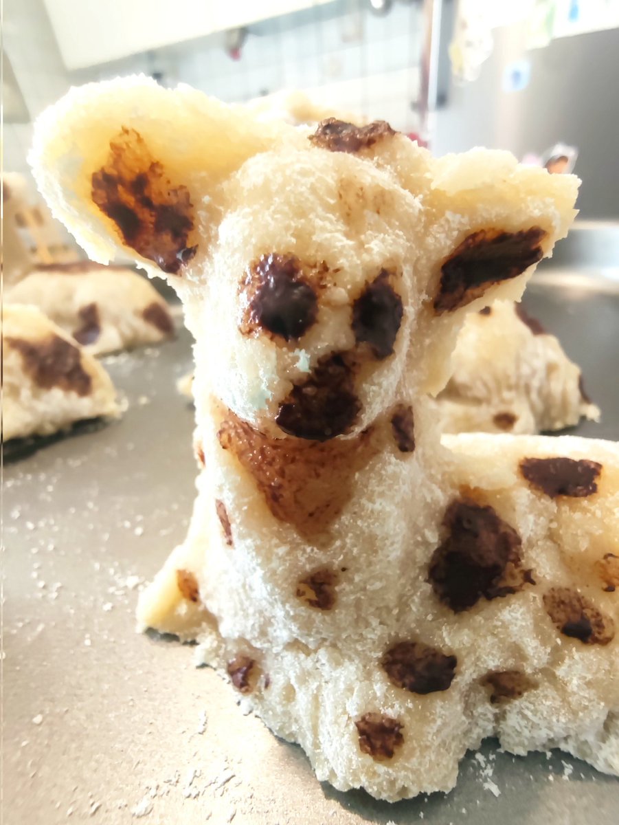 Daniele Ragusa tweet media