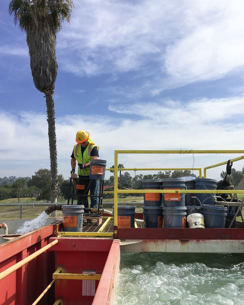 Pile Buck Magazine tweet media