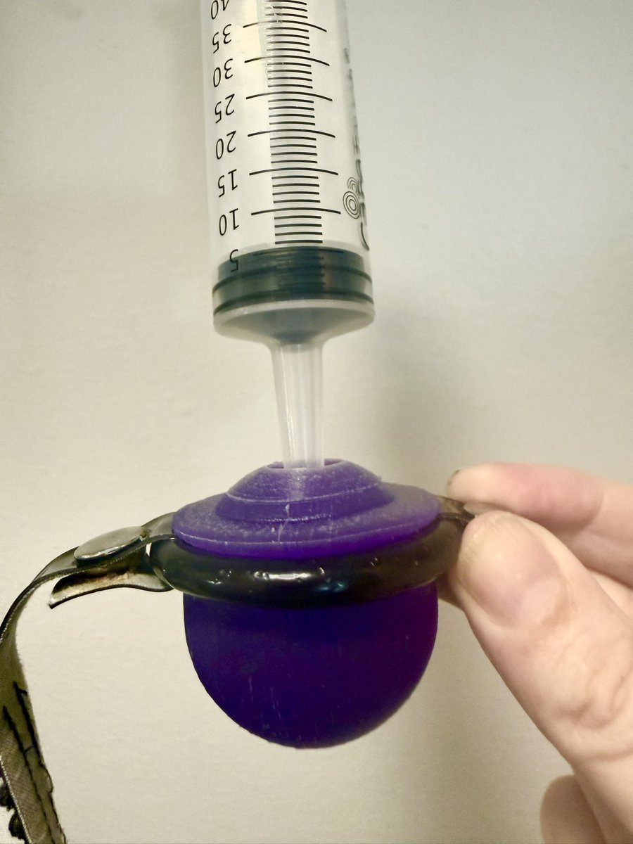 franklinveaux's tweet photo. First prototype of a whole set of interchangeable oral plugs designed to be fit into a ring gag while someone’s wearing it. This plug is intended to silence, and also has passages to squirt fluid in the wearer’s mouth w/o choking them. It also causes MASSIVE drooling. #MadScience https://t.co/mlEqXLIe4S